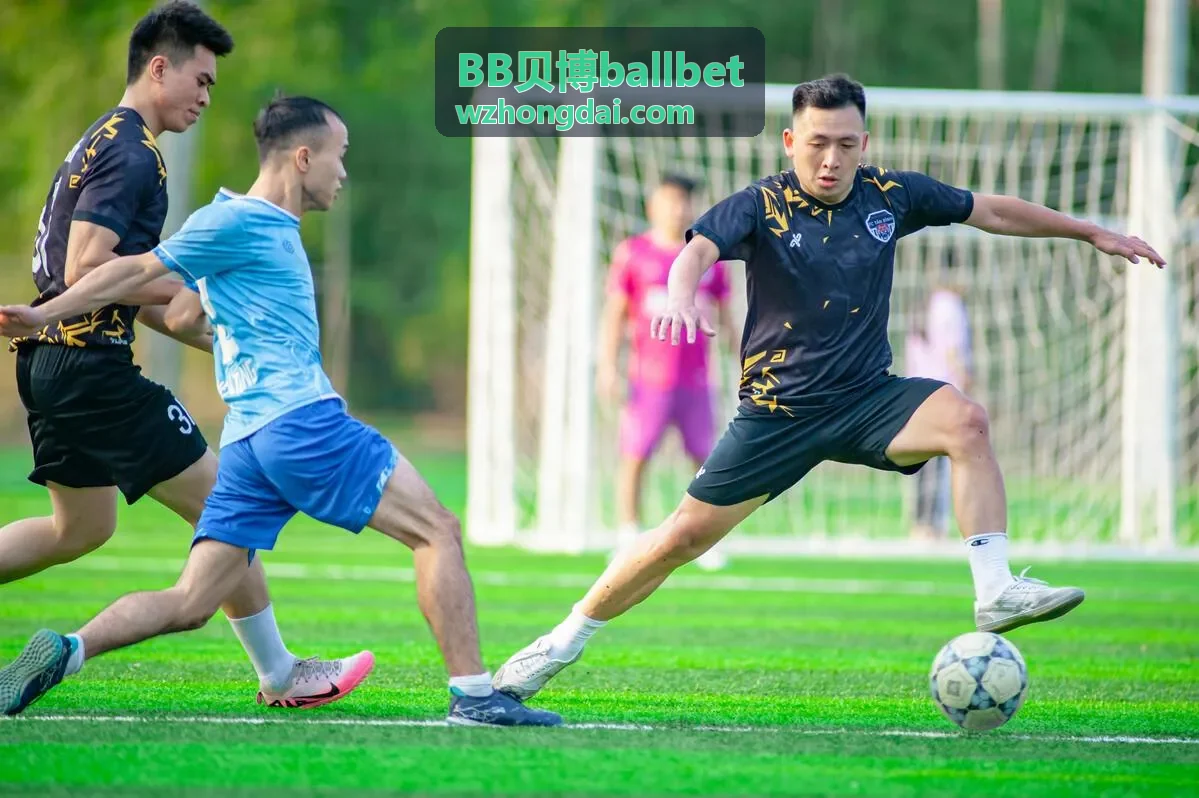BB贝博ballbet数据记录方式配图